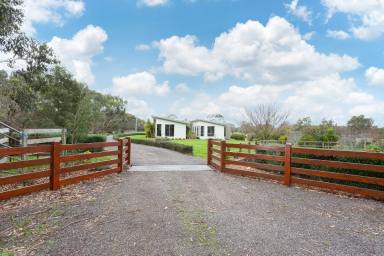 Farm Sold - VIC - Hawkesdale - 3287 - A RARE FIND - AN EXCEPTIONAL HOME AND FERTILE ACREAGE  (Image 2)