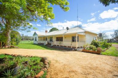Farm Sold - VIC - Drumborg - 3304 - “ARDROSSAN” HIGH RAINFALL COUNTRY  (Image 2)