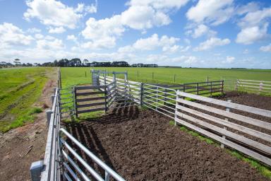 Farm Sold - VIC - Kirkstall - 3283 - Perfectly positioned for dairy outpaddock & beef fattening pursuits  (Image 2)
