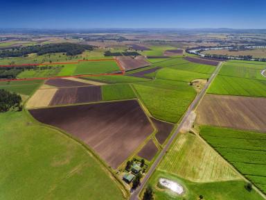 Farm Sold - NSW - Swan Bay - 2471 - Prime Farming Acerage  (Image 2)