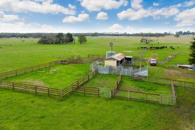 Farm Sold - VIC - Heywood - 3304 - TO BE OFFERED IN ONE, TWO OR THREE SEPARATE LOTS  (Image 2)