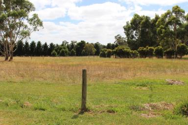 Farm Sold - VIC - Barwon Downs - 3243 - AFFORDABLE COUNTRY STYLE LIVING  (Image 2)