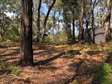 Farm Sold - VIC - Forrest - 3236 - GREAT ESCAPE WITH 'FORREST' VIEWS  (Image 2)