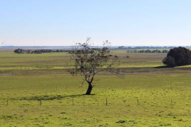 Farm Sold - VIC - Pirron Yallock - 3249 - EXCELLENT COLAC – PIRRON YALLOCK COUNTRY  (Image 2)