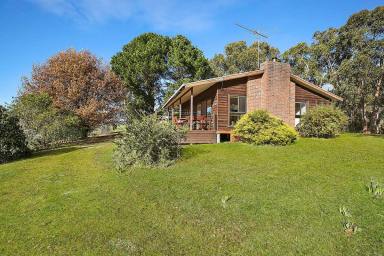 Farm Sold - VIC - Forrest - 3236 - PRIVACY, VIEWS & NATURAL FORREST BEAUTY  (Image 2)