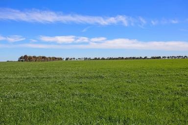 Farm Sold - VIC - Berrybank - 3323 - OUTSTANDING SOUTH WEST VICTORIA COUNTRY  (Image 2)