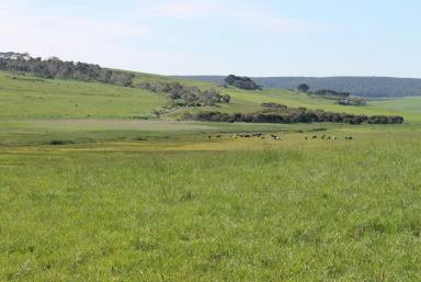 Farm Sold - VIC - Princetown - 3269 - Twelve Apostles Hinterland  Offering Views, Birdlife, Southern Ocean – All In One Property  (Image 2)