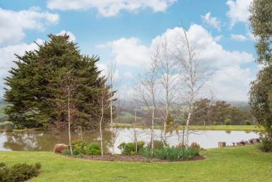 Farm Sold - VIC - Pennyroyal - 3235 - STUNNING VIEWS - HISTORICAL INTEREST - DREAM FARM & LIFESTYLE OPPORTUNITY  (Image 2)