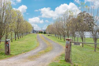 Farm Sold - VIC - Pennyroyal - 3235 - STUNNING VIEWS - HISTORICAL INTEREST - DREAM FARM & LIFESTYLE OPPORTUNITY  (Image 2)
