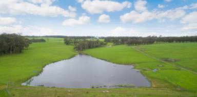 Farm Sold - VIC - Barongarook West - 3249 - OUTSTANDING ATTRACTIVE COLAC – BARONGAROOK PROPERTY  (Image 2)