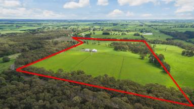 Farm Sold - VIC - Barwon Downs - 3243 - GENUINE FARMING LIFESTYLE WITH SO MUCH MORE  (Image 2)