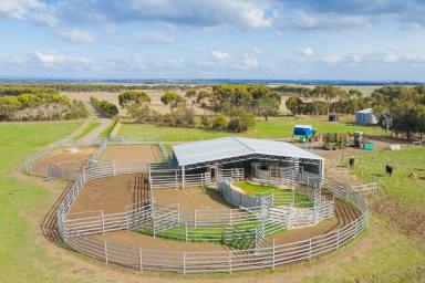 Farm Sold - VIC - Irrewarra - 3249 - STRONG CASH FLOW INVESTMENT GRADE AGRICULTURAL OPPORTUNITY  (Image 2)