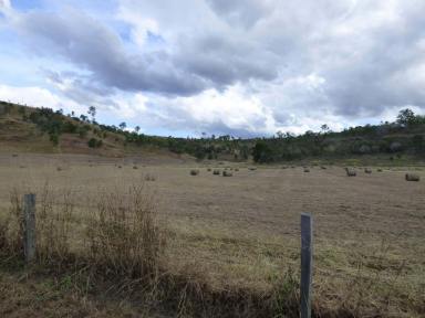 Farm Sold - QLD - Laravale - 4285 - GREAT HOBBY FARM / LIFESTYLE PROPERTY JUST ONE HOUR FROM BRISBANE  (Image 2)