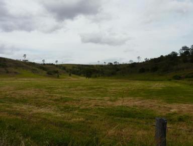 Farm Sold - QLD - Laravale - 4285 - GREAT HOBBY FARM / LIFESTYLE PROPERTY JUST ONE HOUR FROM BRISBANE  (Image 2)