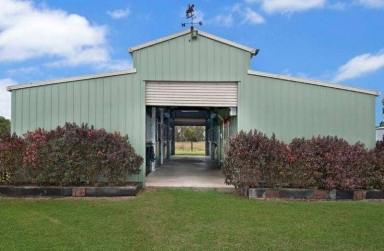 Farm Sold - QLD - Allenview - 4285 - COMPLETE HORSE PROPERTY ON 10 ACRES - PRIVATE YET CLOSE TO TOWN  (Image 2)