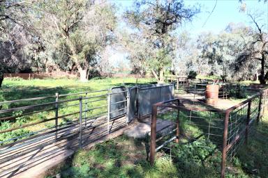 Farm Sold - NSW - Ungarie - 2669 - 'Deloraine' Ungarie approx 251.72 ha  (Image 2)