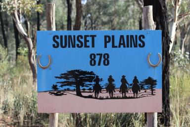 Farm Sold - NSW - Temora - 2666 - 'Sunset Plains'  - Lifestyle Bliss!  (Image 2)