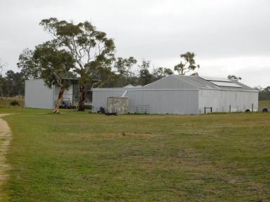 Farm Sold - SA - Western Flat - 5268 - Great Grazing Block - UNDER CONTRACT  (Image 2)