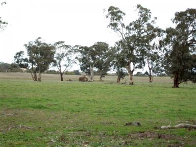 Farm Sold - SA - Western Flat - 5268 - Great Grazing Block - UNDER CONTRACT  (Image 2)