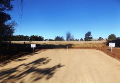 Farm Sold - QLD - Kingaroy - 4610 - 5 Acre Block in a Great Location!  (Image 2)