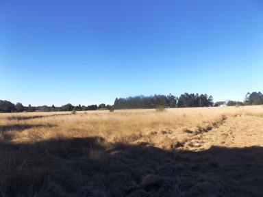 Farm Sold - QLD - Kingaroy - 4610 - 5 Acre Block in a Great Location!  (Image 2)