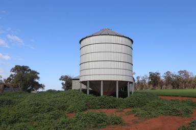 Farm Sold - NSW - Wirrinya - 2871 - Great Farming Block With Potential To Purchase Crop  (Image 2)