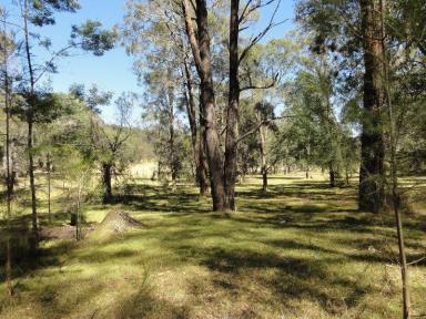 Farm Sold - NSW - Putty - 2330 - A SLICE OF PARADISE  (Image 2)