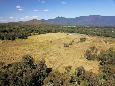 Farm Sold - QLD - Ellerbeck - 4816 - Rural acreage suits cattle or small crops, just five minutes north of Cardwell  (Image 2)