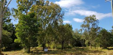 Farm Sold - QLD - Ellerbeck - 4816 - Rural acreage, just five minutes north of Cardwell  (Image 2)