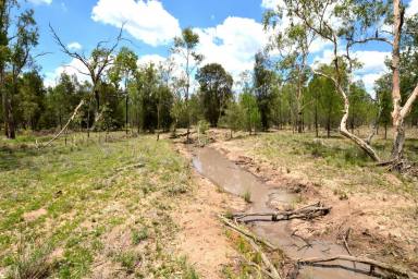 Farm Sold - QLD - Dalby - 4405 - FLAT USEABLE LAND READY TO BUILD  (Image 2)