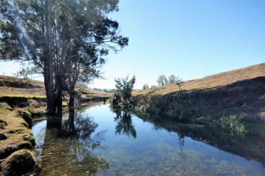 Farm Sold - QLD - Maryvale - 4370 - Eight Acres Of Panoramic Mountain Views With Creek Frontage  (Image 2)