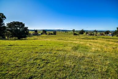 Farm Sold - VIC - Mossiface - 3885 - 10 ACRES MAGNIFICENT VIEWS  (Image 2)