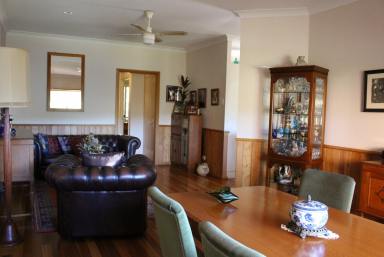 Farm Sold - NSW - Kyogle - 2474 - "HARRINGTON" REDUCED TO SELL IMMEDIATELY  (Image 2)