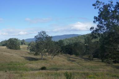 Farm Sold - NSW - Kyogle - 2474 - 120 ACRE GRAZING & LIFESTYLE PROPERTY  (Image 2)