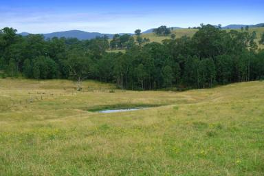 Farm Sold - NSW - Bunyah - 2429 - Productive Grazing Acres with Creek Frontage  (Image 2)