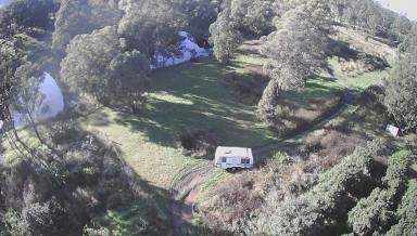 Farm Sold - NSW - Dyers Crossing - 2429 - Motivated Vendor Requires a Quick Sale to Finalise an Estate  (Image 2)