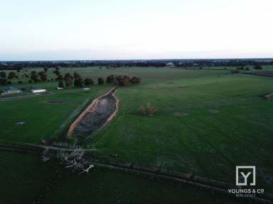 Farm Sold - VIC - Toolamba - 3614 - 40 Acre Farmlet Close to Toolamba - Tatura & Mooroopna  (Image 2)