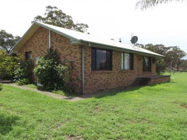 Farm Sold - NSW - Denman - 2328 - Well set up little lifestyle property with town water  (Image 2)