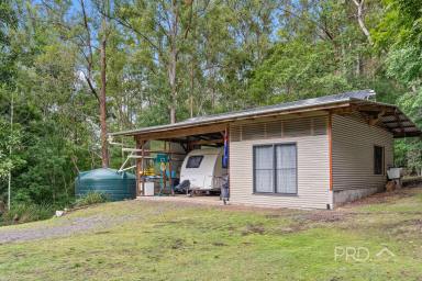 Farm Sold - NSW - Kyogle - 2474 - Your Own Private Wildlife Sanctuary  (Image 2)
