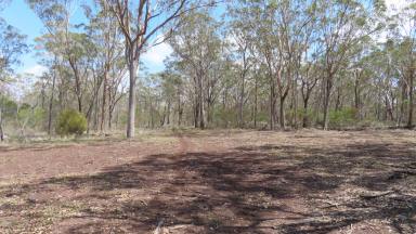 Farm Sold - QLD - Budgee - 4359 - Mountain Hideaway, Grazing Lifestyle  (Image 2)