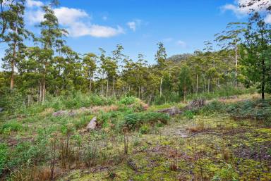 Farm Sold - TAS - Eaglehawk Neck - 7179 - Immerse yourself in nature one hour from Hobart  (Image 2)