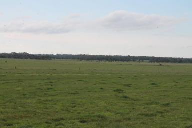 Farm Sold - VIC - Irrewillipe - 3249 - QUALITY COLAC DISTRICT LAND  (Image 2)
