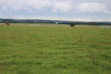 Farm Sold - VIC - Irrewillipe - 3249 - QUALITY COLAC DISTRICT LAND  (Image 2)