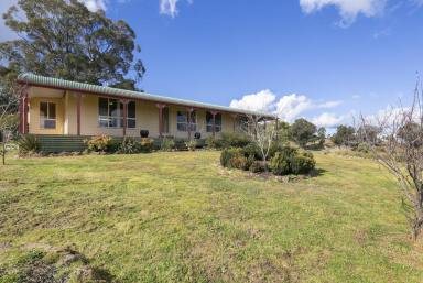 Farm Sold - NSW - Goulburn - 2580 - IDLE-TIME  (Image 2)