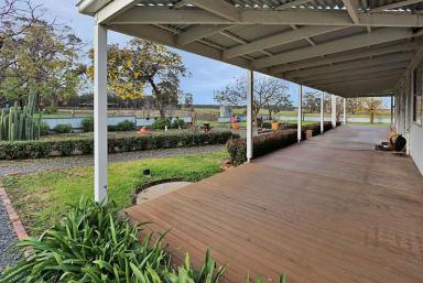 Farm Sold - NSW - Temora - 2666 - "Woodlands" Lifestyle Living - 101ha  (Image 2)