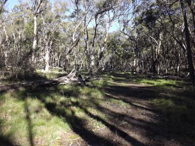 Farm For Sale - NSW - Dundee - 2370 - Lifestyle Block Only 10 Mins From Town  (Image 2)