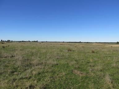 Farm Sold - VIC - Bairnsdale - 3875 - RURAL LIVING CLOSE TO TOWN  (Image 2)