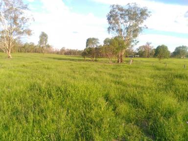 Farm Sold - QLD - Warwick - 4370 - Country Hideaway With Creek Frontage  (Image 2)