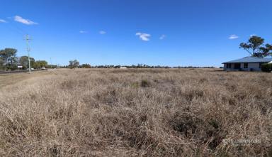 Farm For Sale - QLD - Dalby - 4405 - BUILD YOUR DREAM HOME - 1 ACRE  (Image 2)