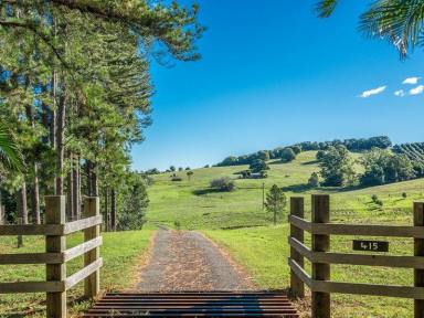 Farm Sold - NSW - Fernleigh - 2479 - Extraordinary Acres - Incredible Opportunity  (Image 2)